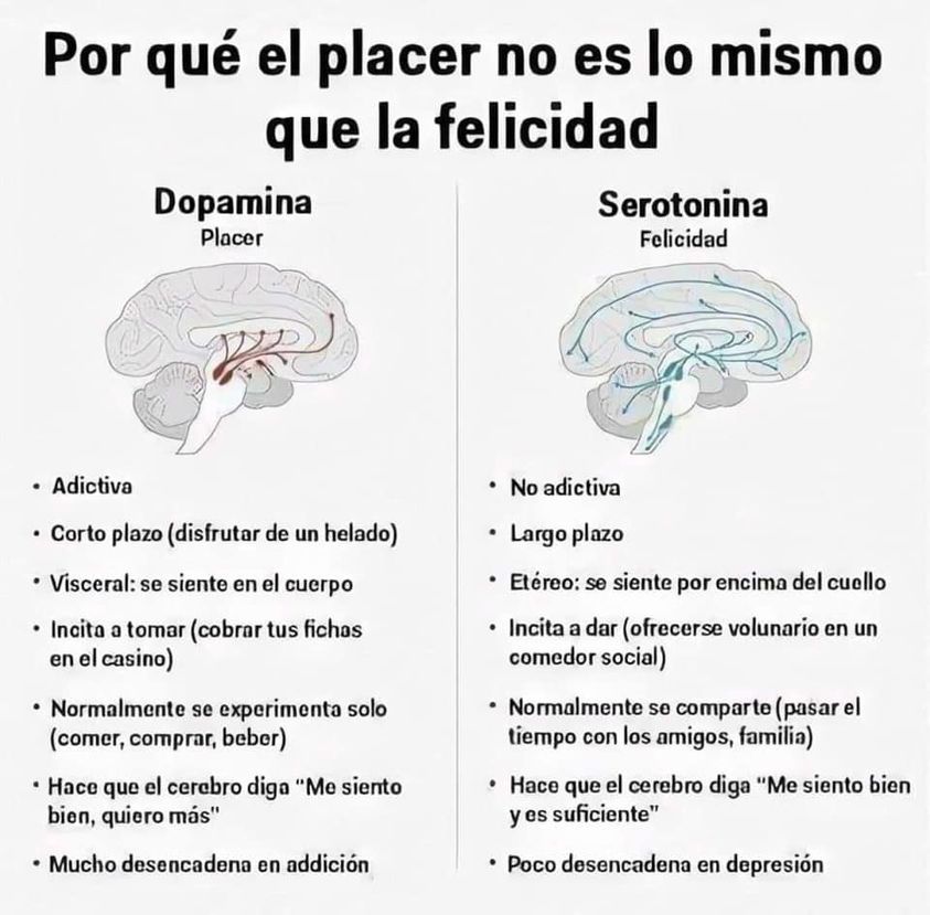 Blog Placer Vs Felicidad Psiquiatría Y Psicología 5076